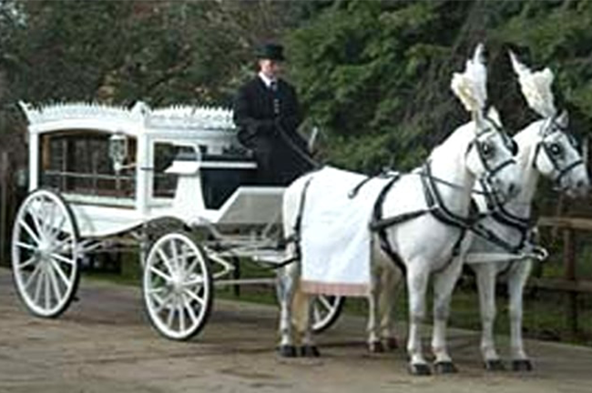 Funeral Horse Carriage - garners funeral services surrey